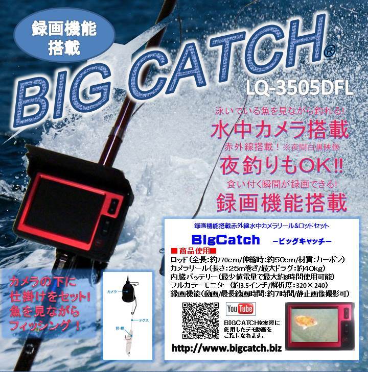 水中の見える竿ビッグキャッチ