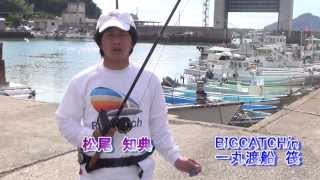 ビッグキャッチ