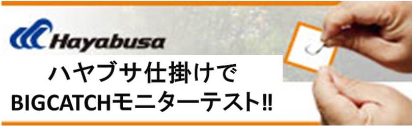 ビッグキャッチ