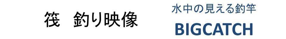 水中カメラ