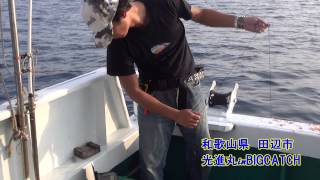 ビッグキャッチ