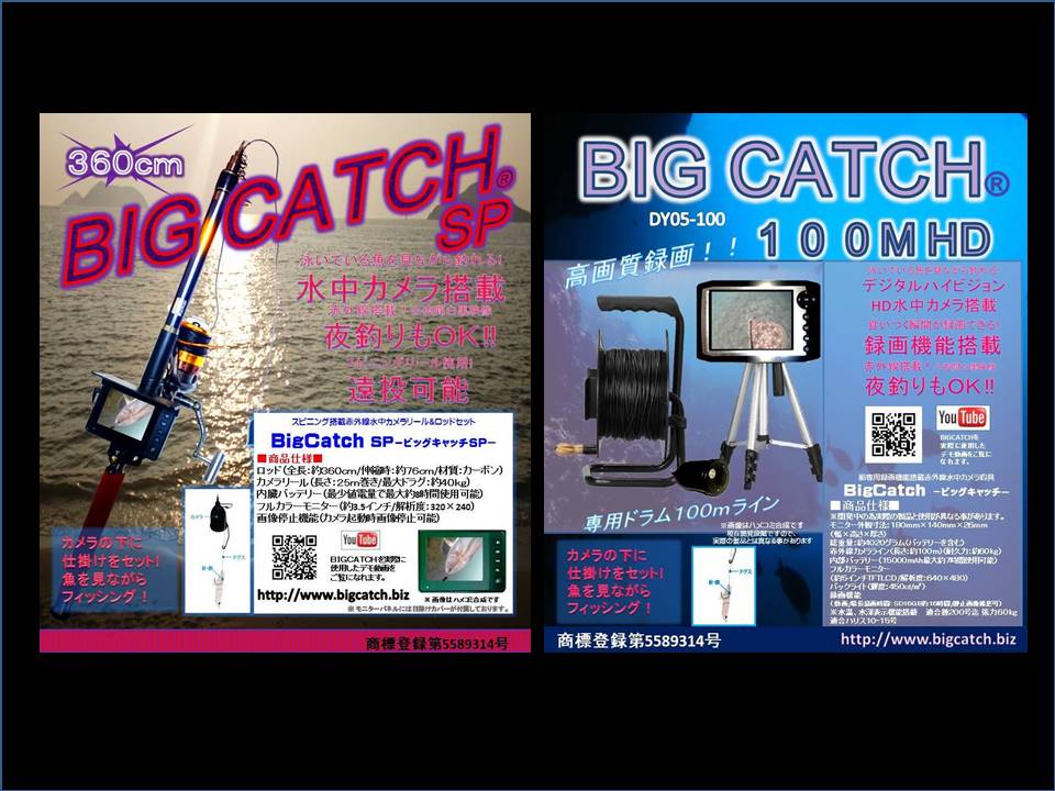 釣るとこみるぞうくん