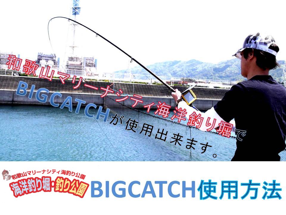 水中カメラ ビッグキャッチ