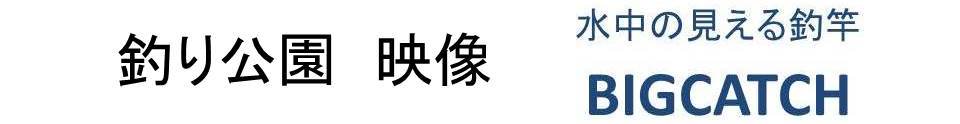 釣り